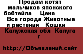 Продам котят мальчиков японского бобтейла. › Цена ­ 30 000 - Все города Животные и растения » Кошки   . Калужская обл.,Калуга г.